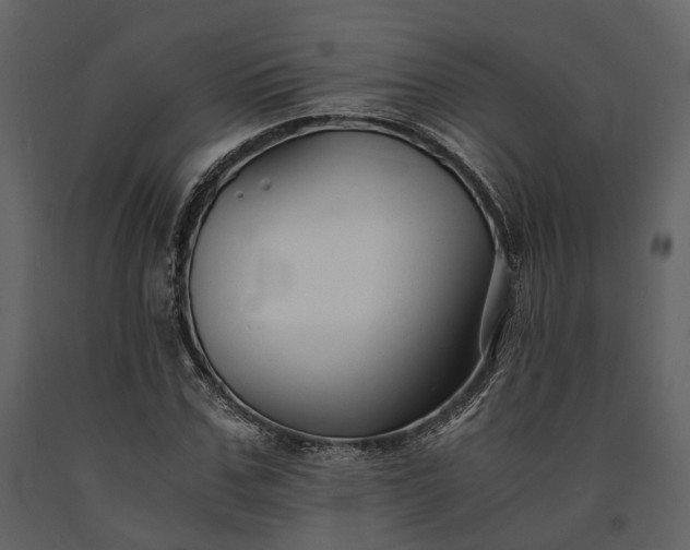 X0000091520971200708241646