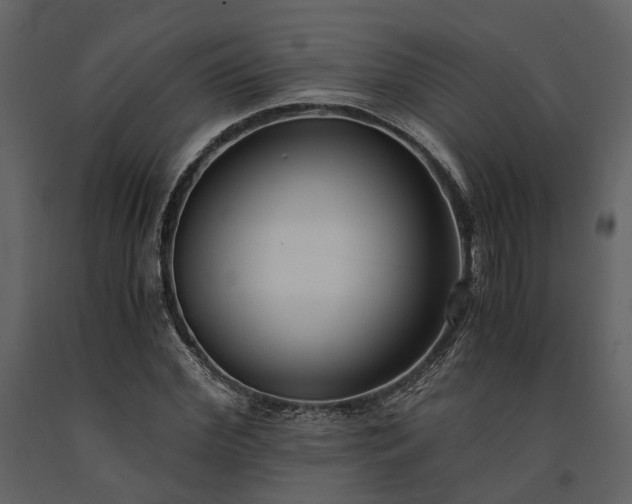 X0000091520972200708241646