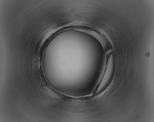 X0000091520973200708241646