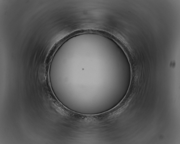 X0000091520974200708241646