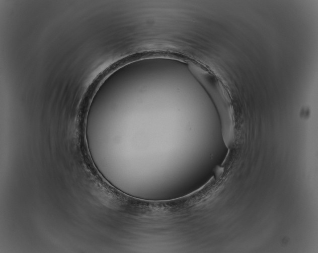 X0000091520975200708241646