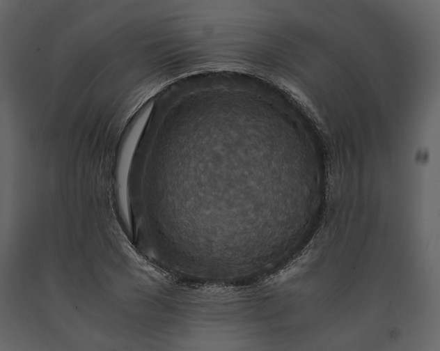 X0000091520977200708241646