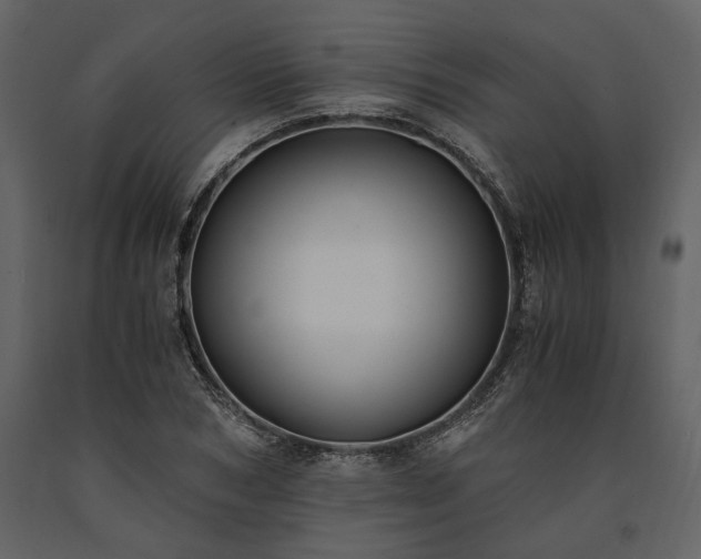 X0000091520978200708241646