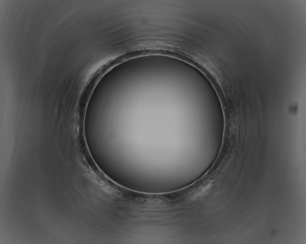 X0000091520979200708241646