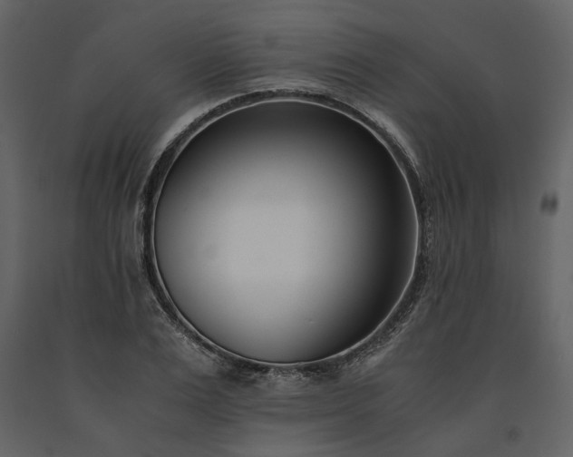 X0000091520983200708241646