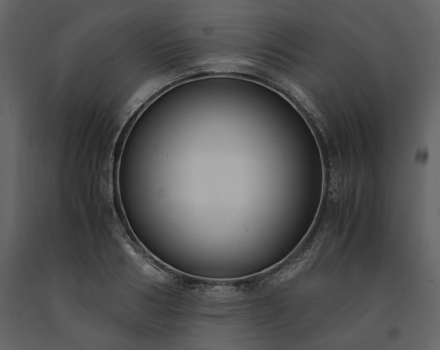 X0000091520986200708241646
