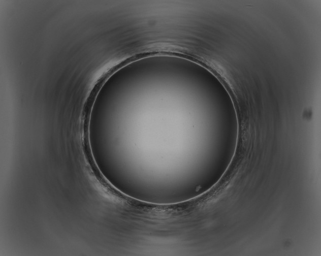 X0000091520987200708241646
