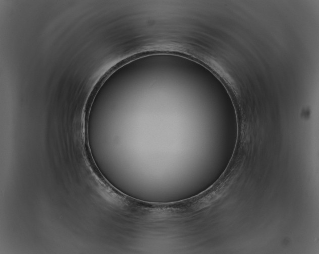 X0000091520988200708241646