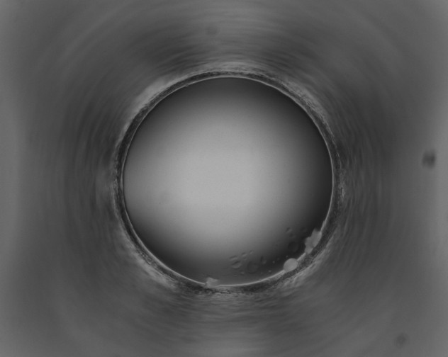 X0000091520989200708241646