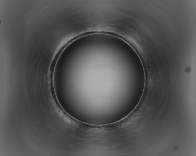 X0000091520990200708241646