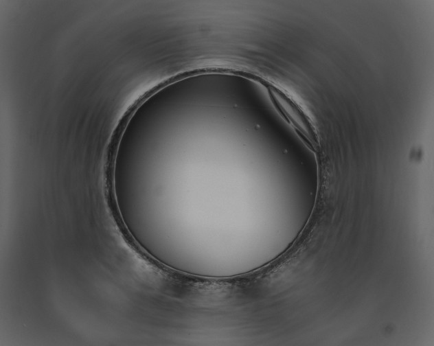 X0000091520991200708241646