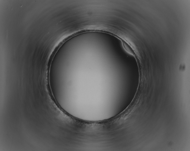 X0000091520992200708241646