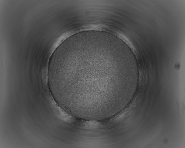 X0000091520994200708241646