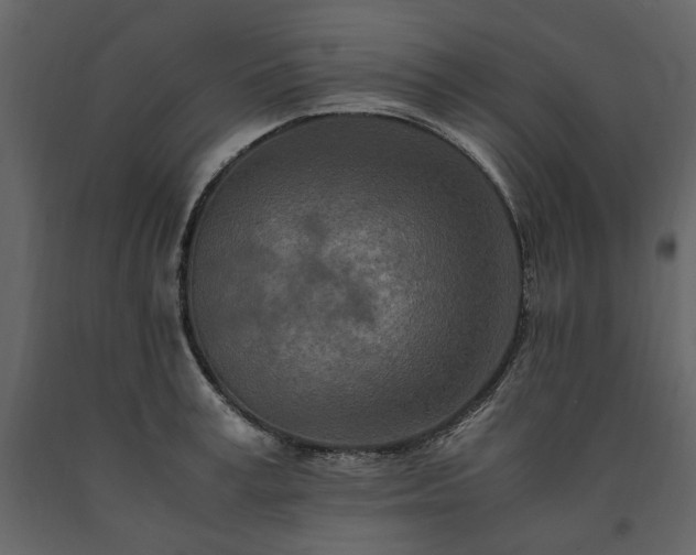 X0000091520995200708241646