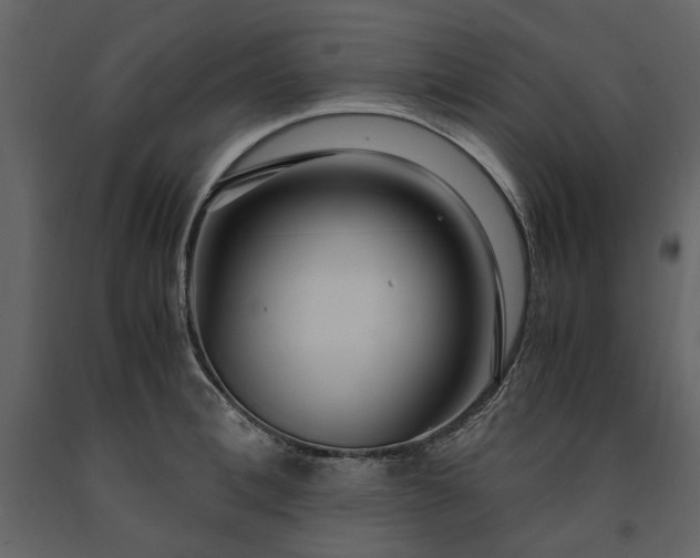 X0000091520996200708241646