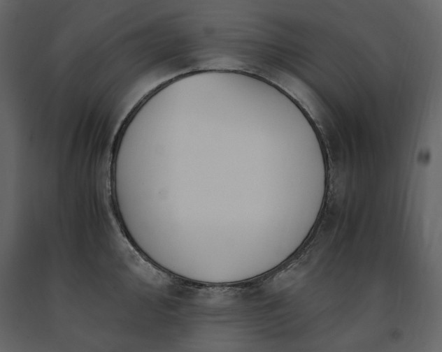 X0000091521000200708241646