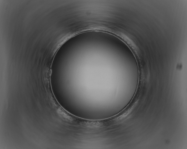 X0000091521001200708241646