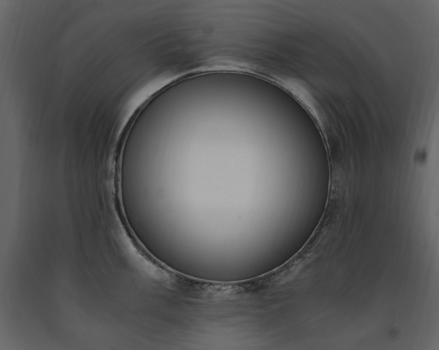 X0000091521003200708241646