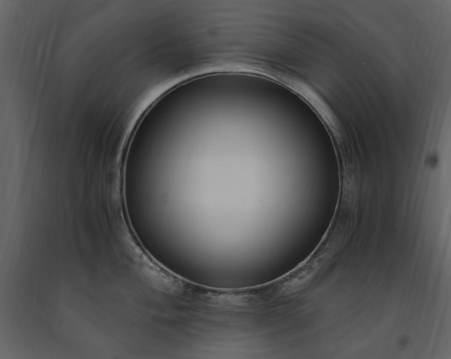 X0000091521004200708241646