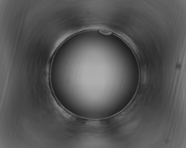 X0000091521006200708241646