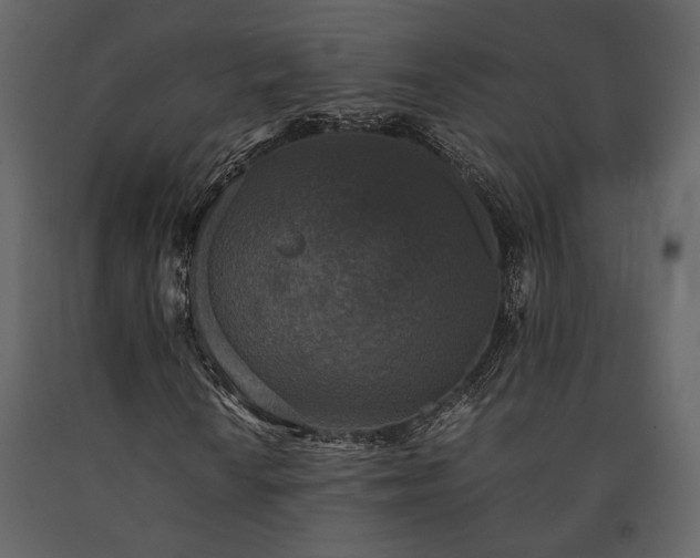 X0000091521010200708241645