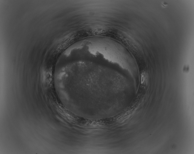 X0000091521011200708241645