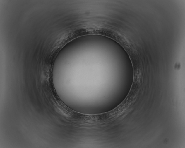 X0000091521012200708241645