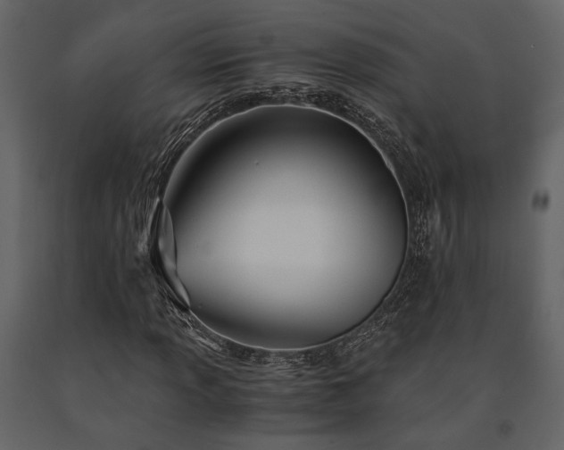 X0000091521013200708241645