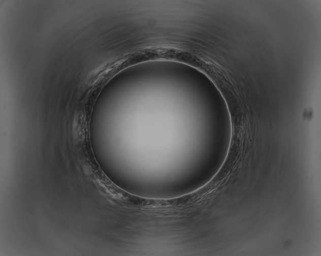 X0000091521014200708241645
