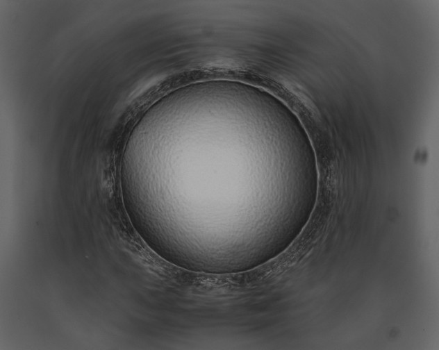 X0000091521015200708241645