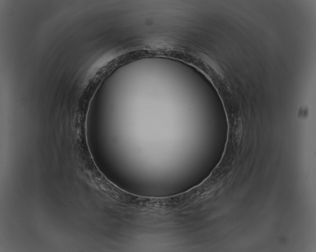 X0000091521016200708241645
