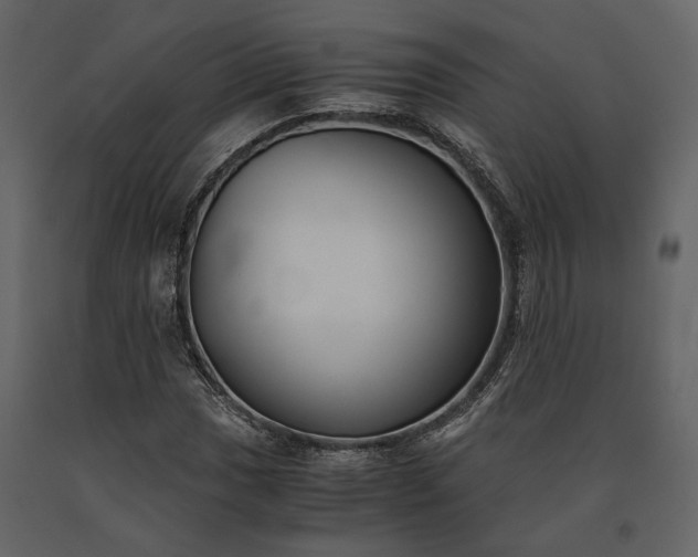 X0000091521017200708241645