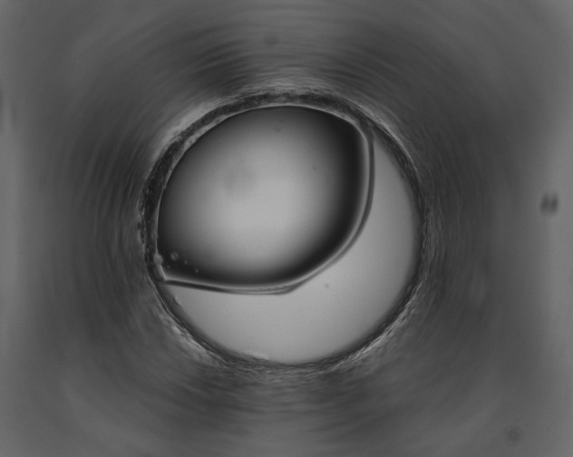 X0000091521018200708241645