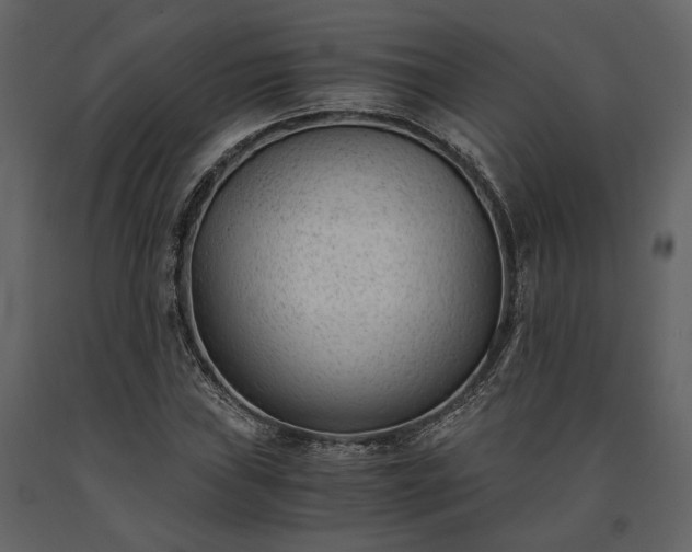 X0000091521019200708241645