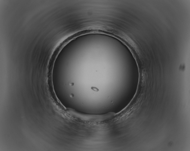 X0000091521020200708241645