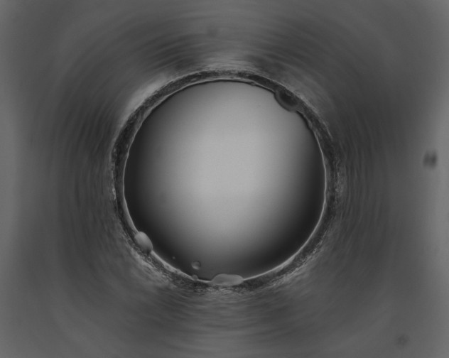 X0000091521022200708241645