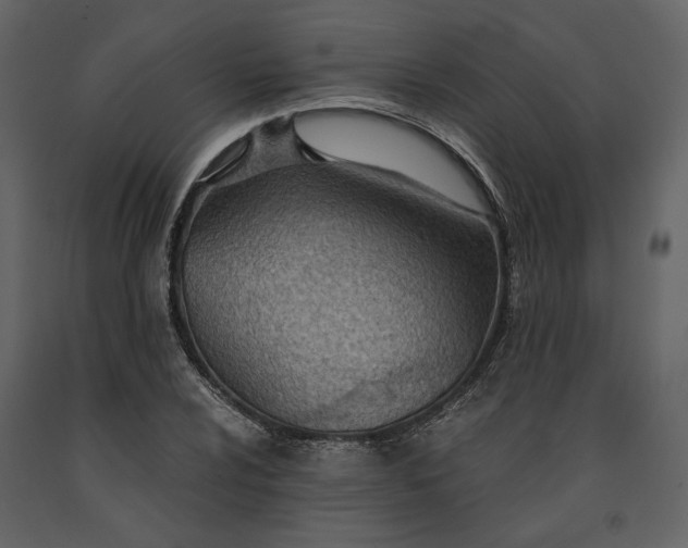 X0000091521024200708241645