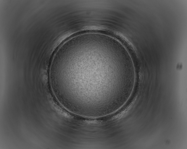 X0000091521025200708241645