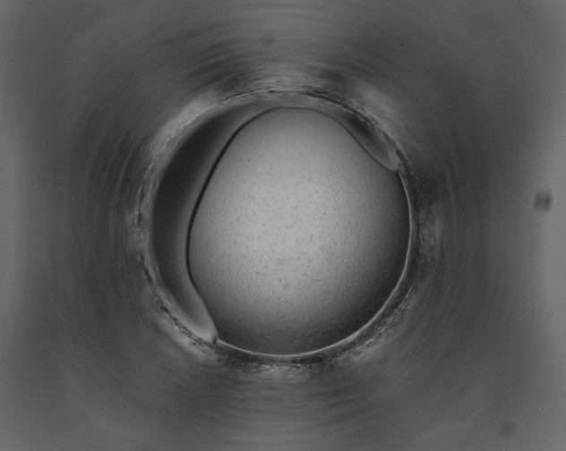X0000091521026200708241645