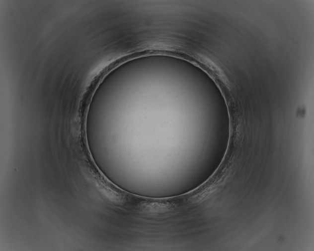 X0000091521027200708241645