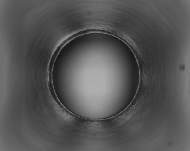 X0000091521028200708241645