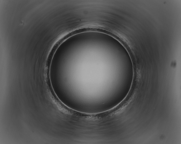 X0000091521029200708241645