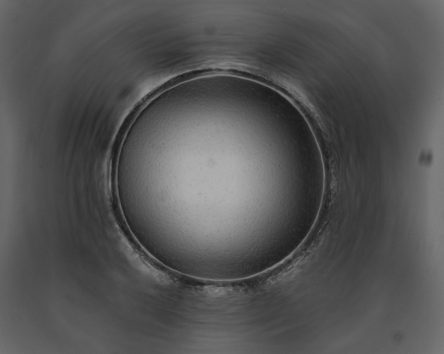 X0000091521032200708241646