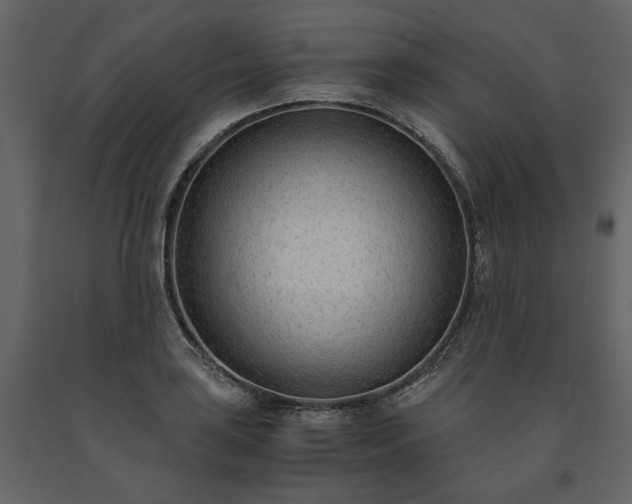 X0000091521035200708241646