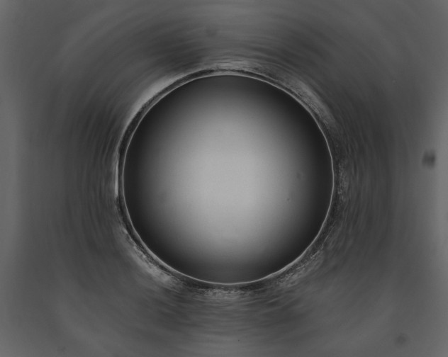 X0000091521036200708241646