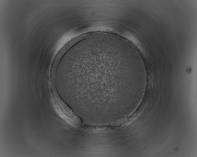 X0000091521038200708241646