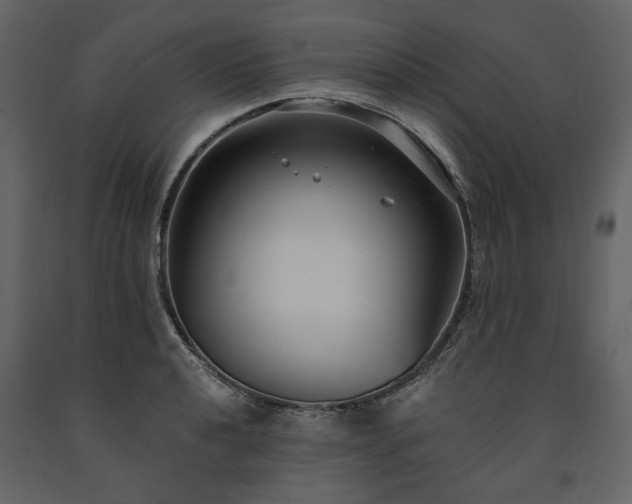 X0000091521040200708241646