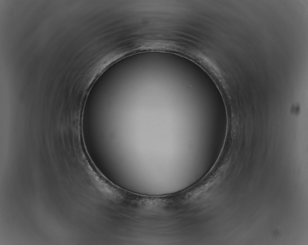 X0000091521041200708241646