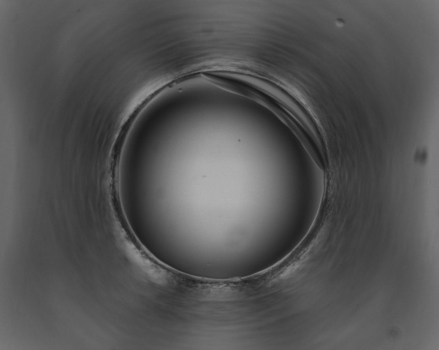 X0000091521042200708241646
