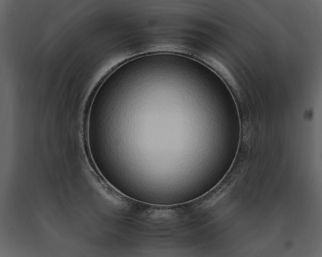 X0000091521043200708241646